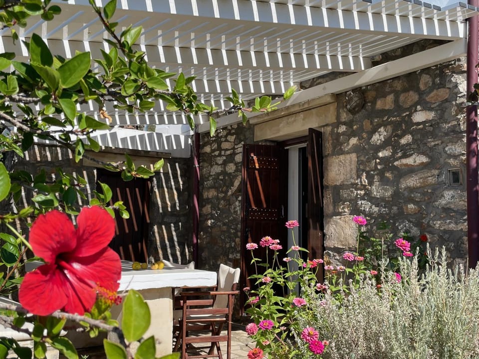 Villa LA FAMILIA maison traditionnelle Villa in Crete