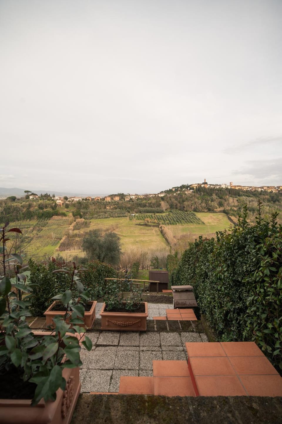 Garden view, Inner courtyard view