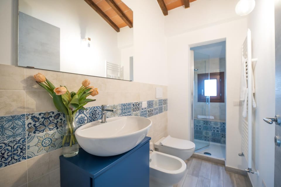Shower, Toilet, Bathroom, bidet