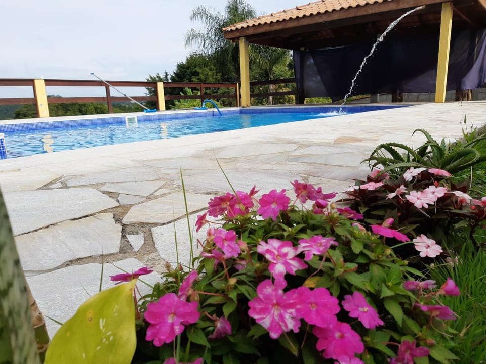 Garden, Pool view