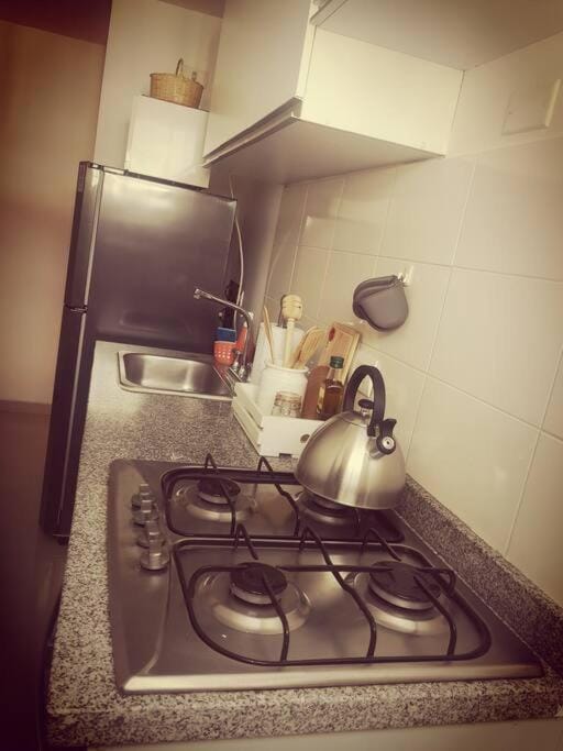 Kitchen or kitchenette, minibar, pet friendly, stove
