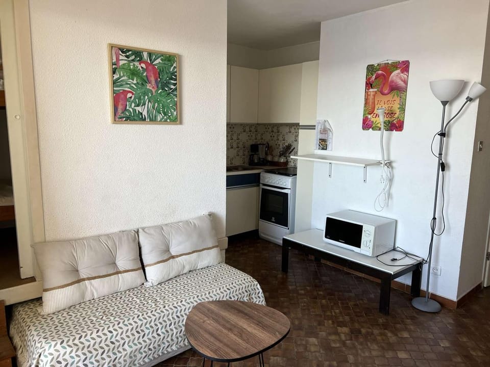 Studio Cabine au Cap d'Agde, Animaux Acceptés, Proche Plage - FR-1-702-49 Cabin in Agde