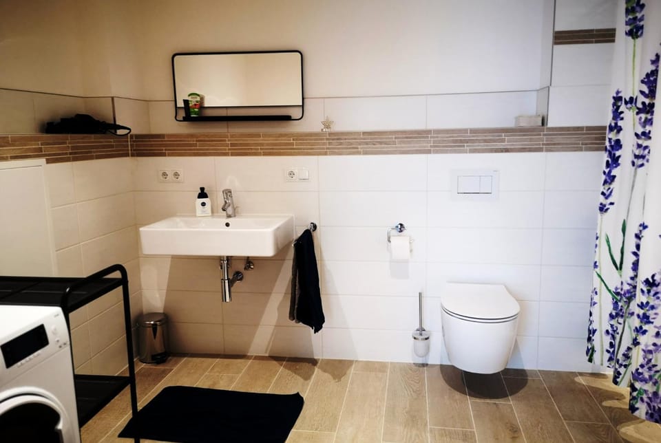 Toilet, Bathroom, towels, dryer