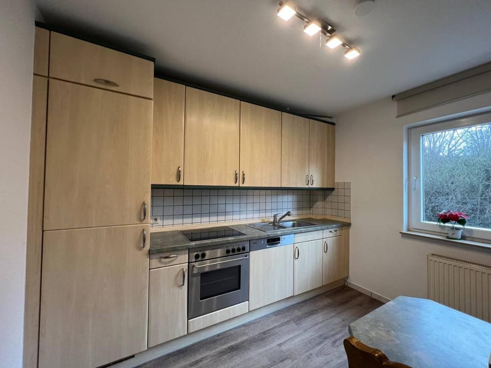 Kitchen or kitchenette, dishwasher, minibar, pet friendly, stove