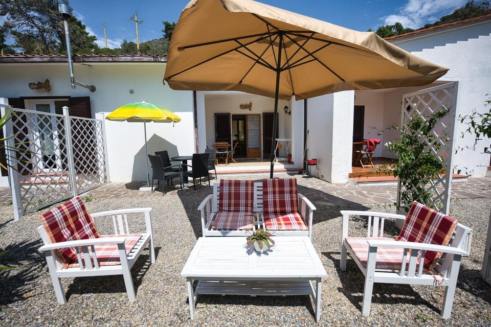 Garden, sunbed