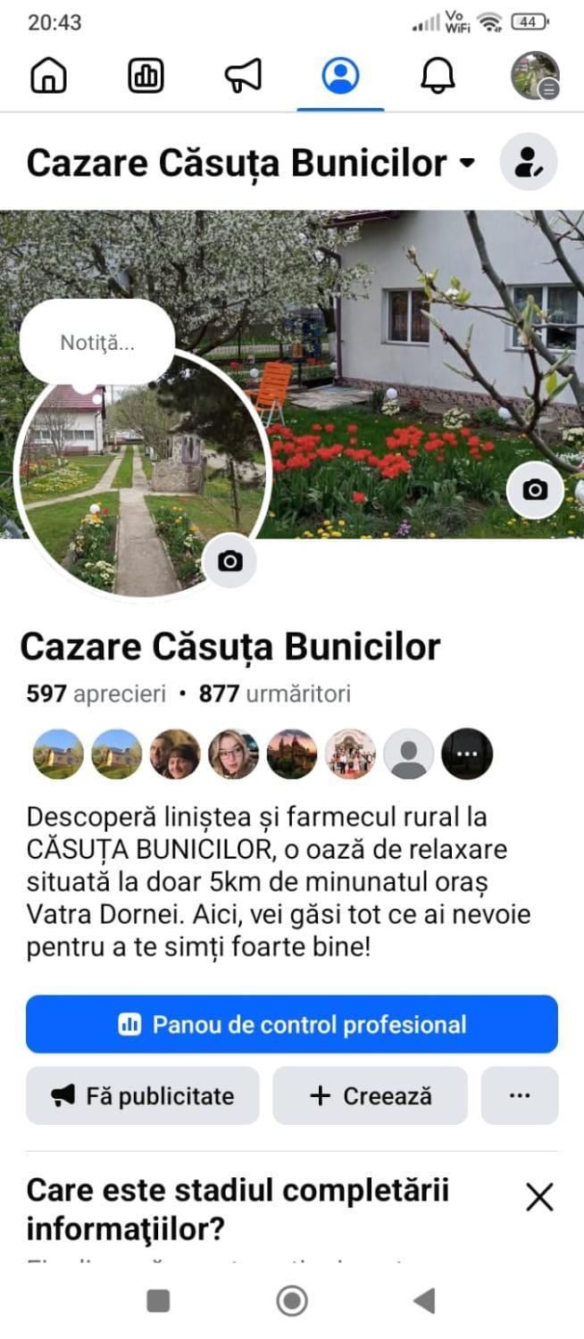 Căsuța Bunicilor House in Romania