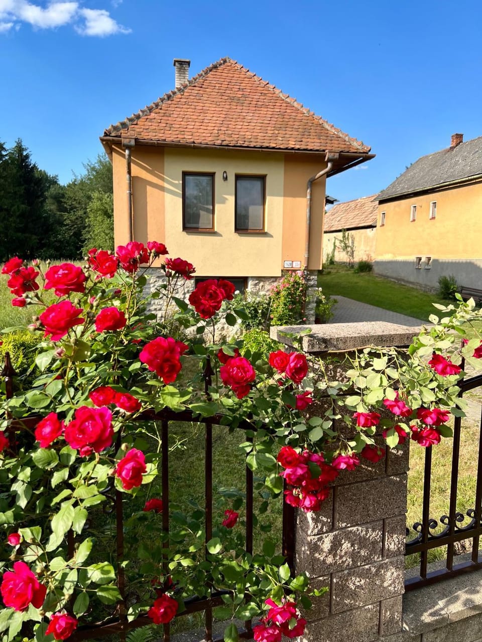 Property building, Summer, Garden view, Parking