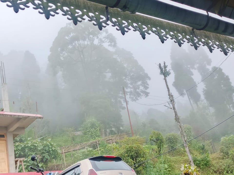Natural landscape