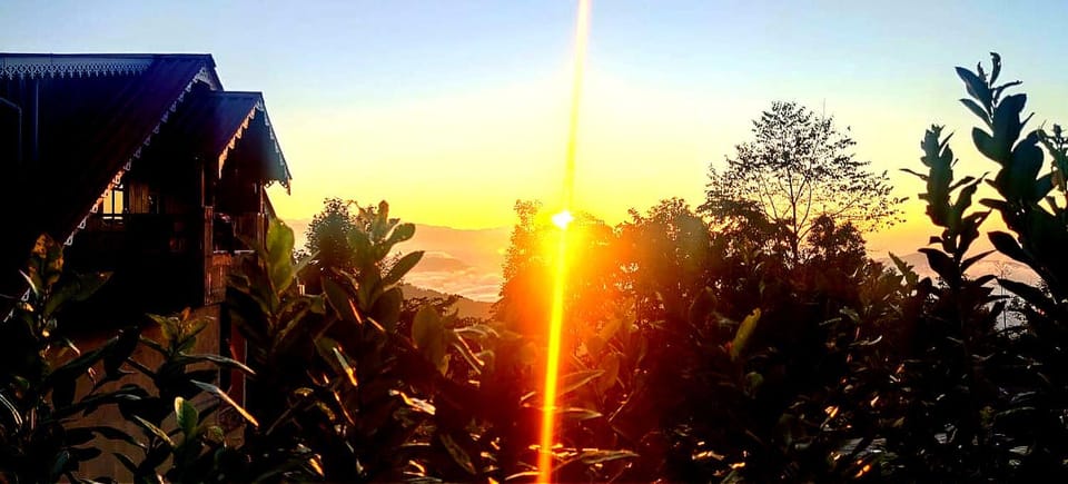 Property building, Sunrise