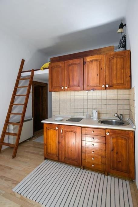 Sekretne gniazdko w tajemniczym ogrodzie Apartment in Krakow