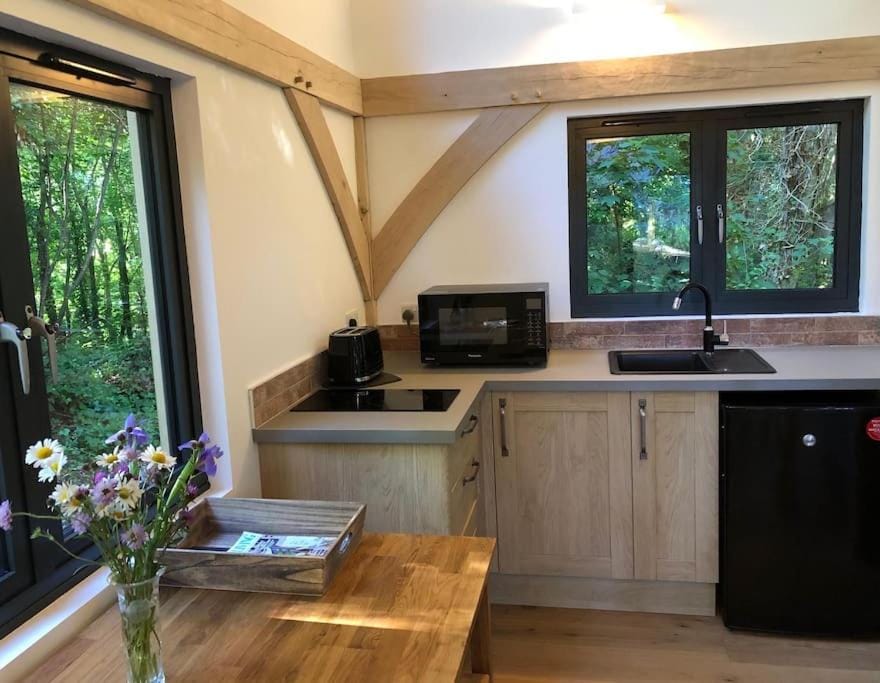 Kitchen or kitchenette, minibar, stove