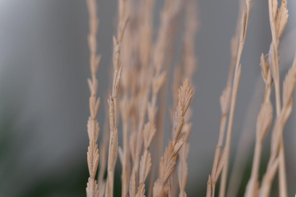Decorative detail