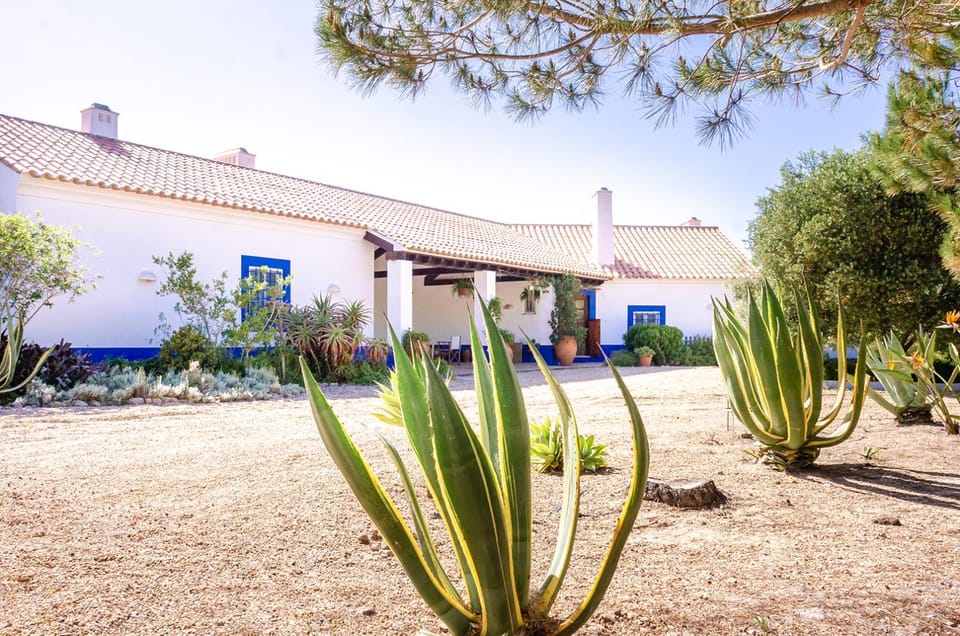 Property building, Garden