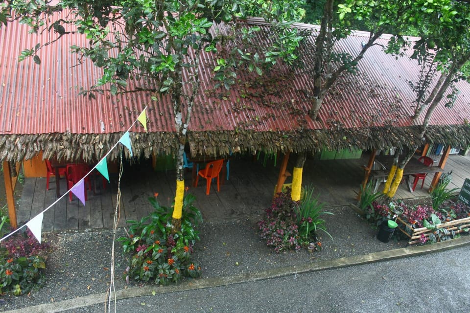 Restaurant/places to eat, Spring, Day, Garden, Garden view