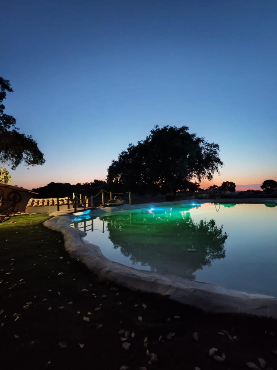Swimming pool, Swimming pool