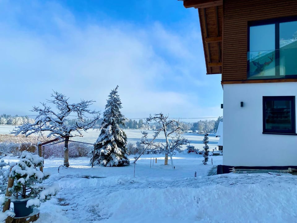 Property building, Natural landscape, Winter