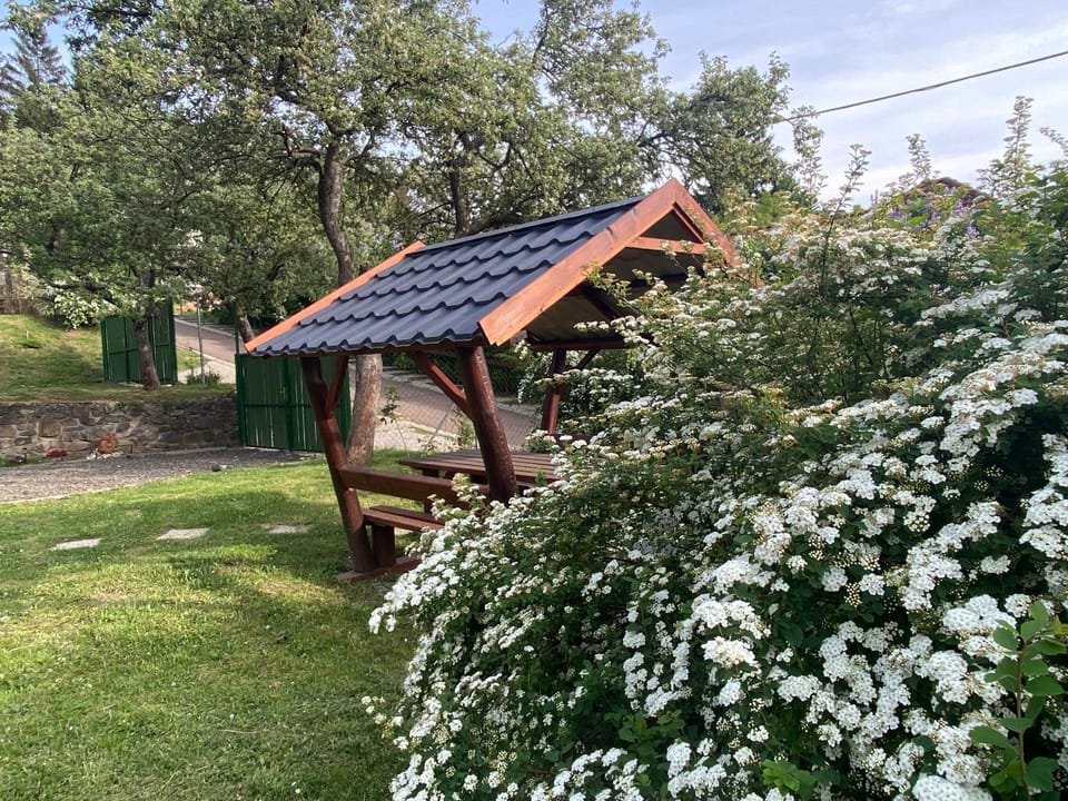 Spring, Garden, Garden view