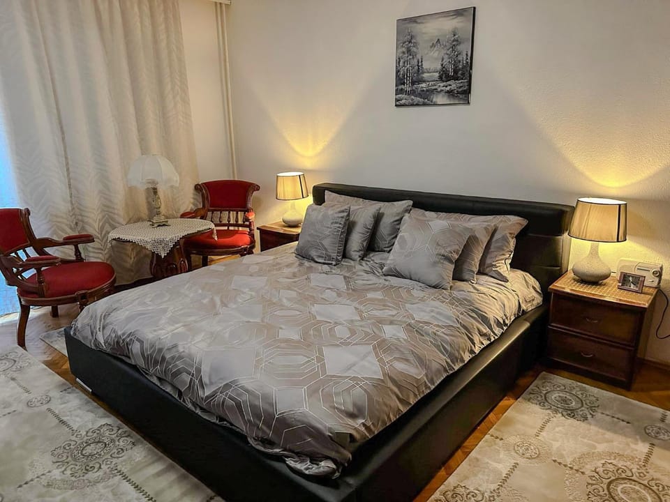 Cozy and Comfy Apartment in Serbia