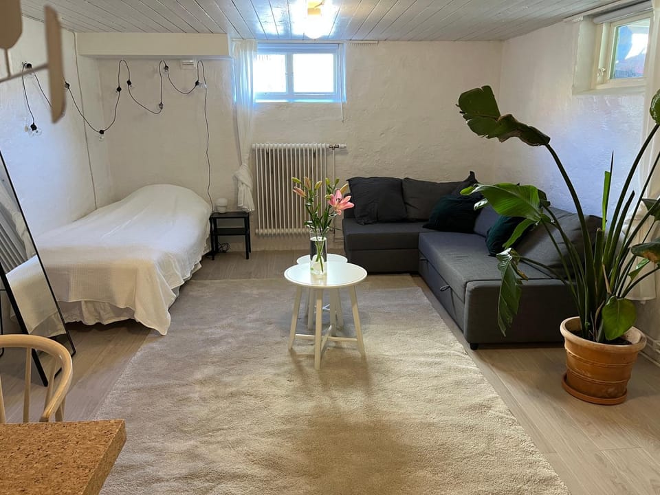 Bed, Living room, Photo of the whole room, Seating area, Bedroom