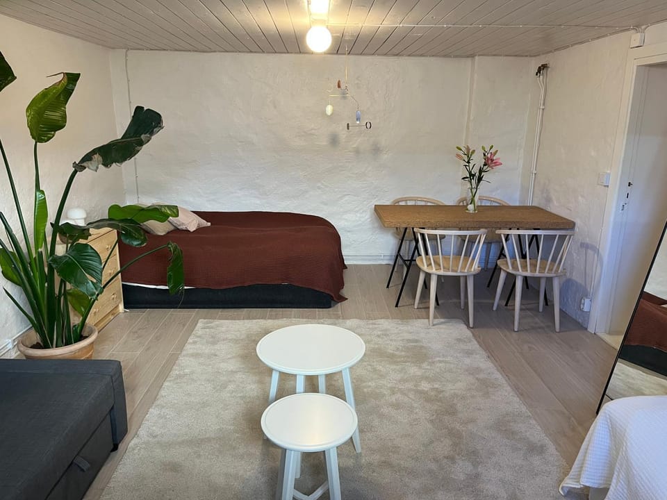 Bed, Living room, Dining area