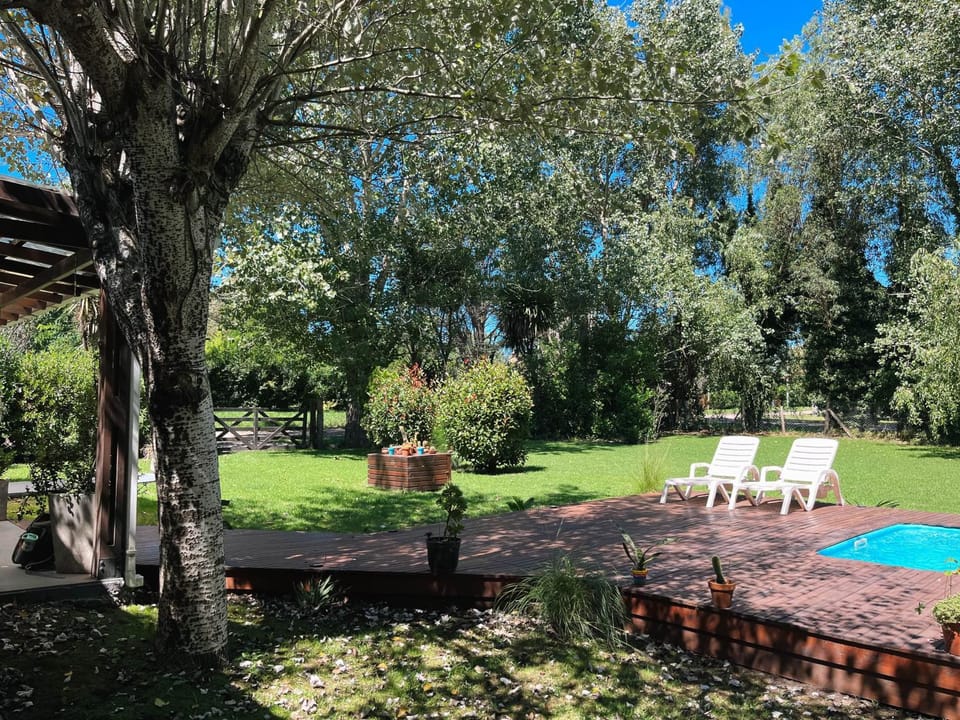 Patio, Garden, Garden view, Swimming pool, sunbed