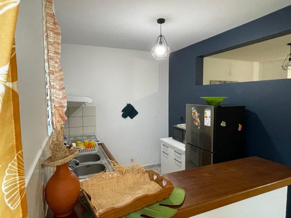 Kitchen or kitchenette, minibar, oven
