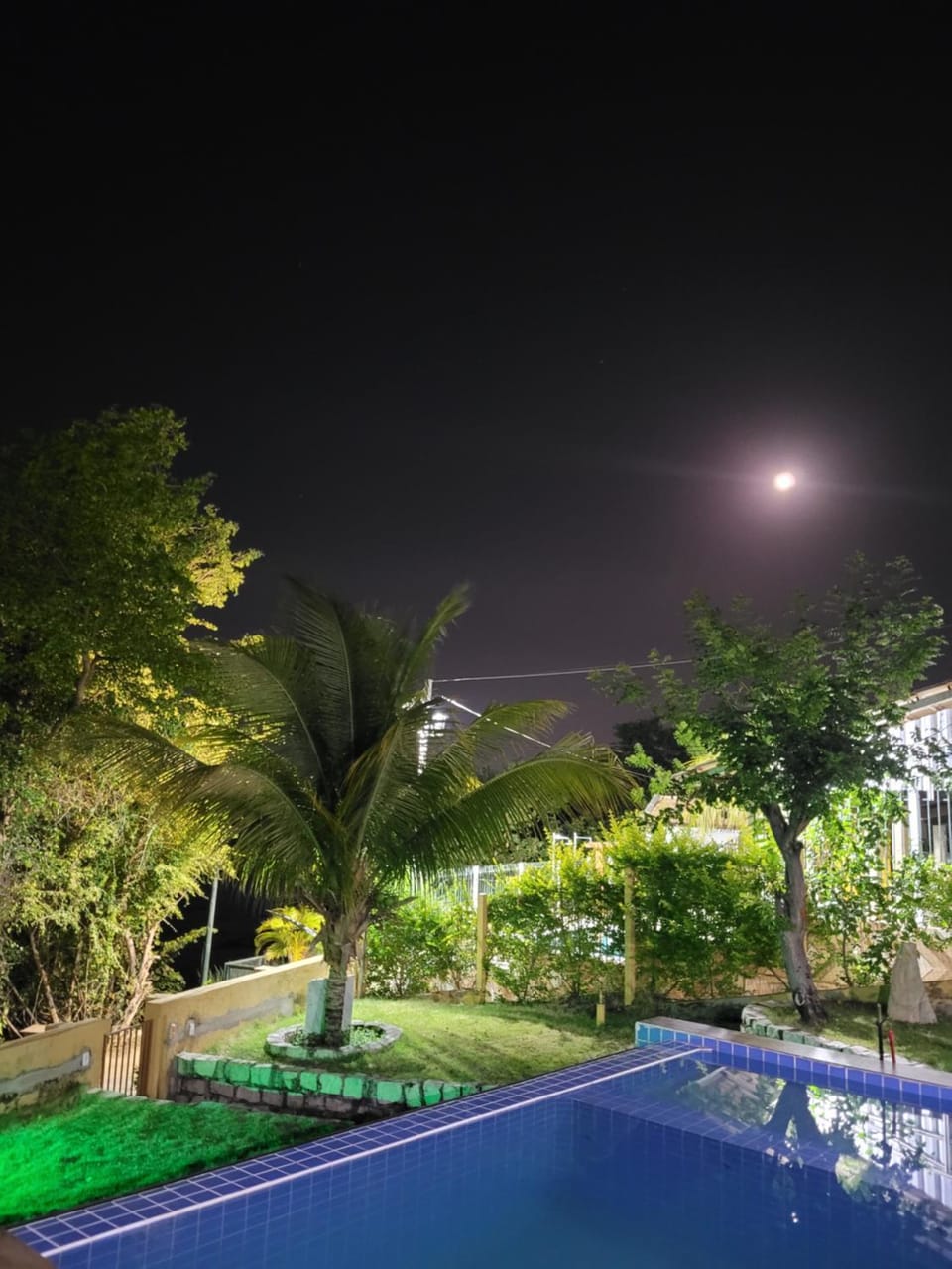 Night, Natural landscape, Garden, Pool view, Swimming pool