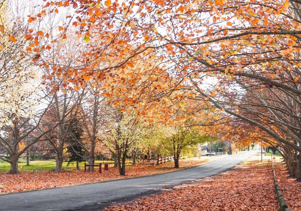 Autumn