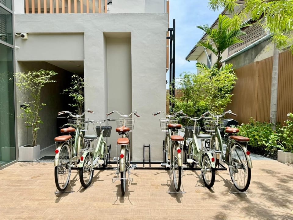 Day, Cycling