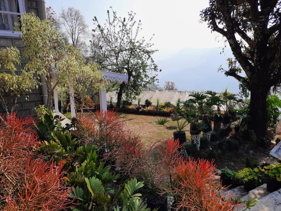 Garden, Garden view