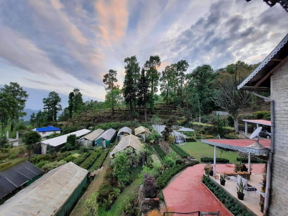 Natural landscape, Garden, Garden view