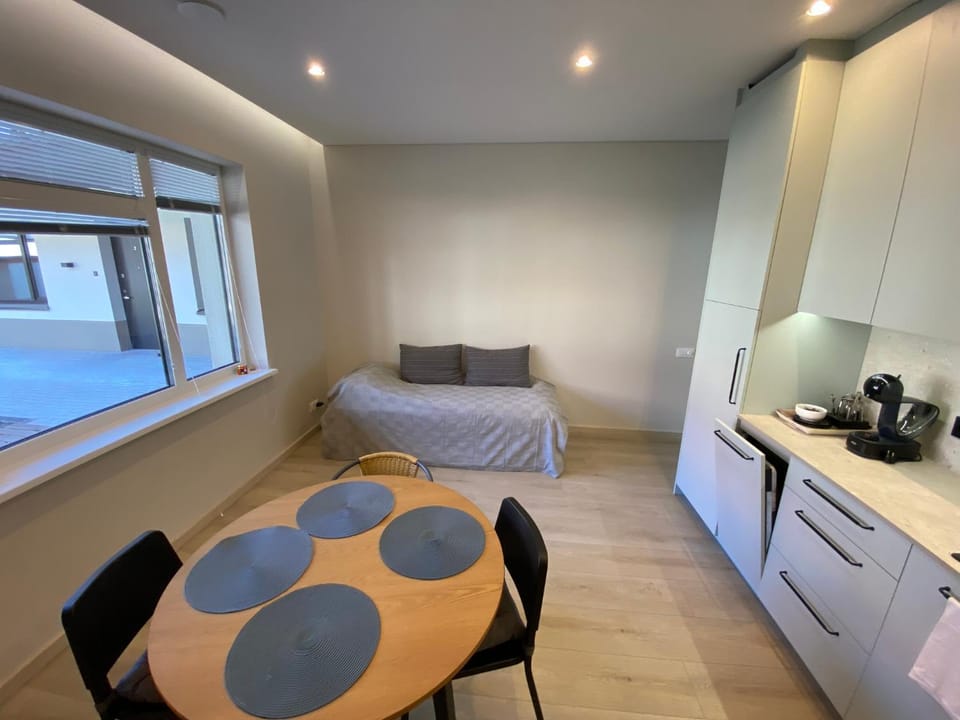Kitchen or kitchenette, kitchen, kitchen