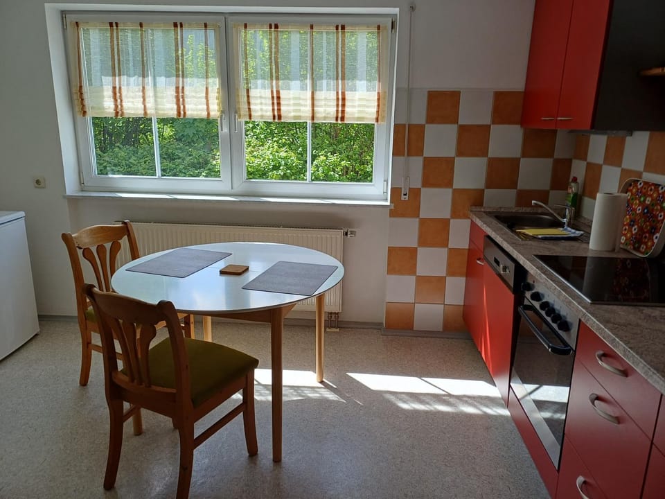 FeWo Fink Apartment in Regen