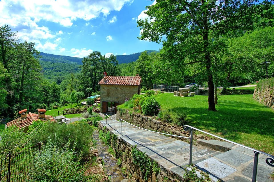 Garden, Garden view, Mountain view