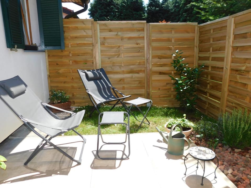 Patio, Day, Garden, Garden view, sunbed