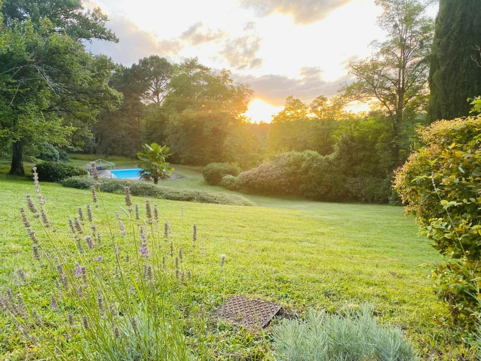 Natural landscape, Garden view