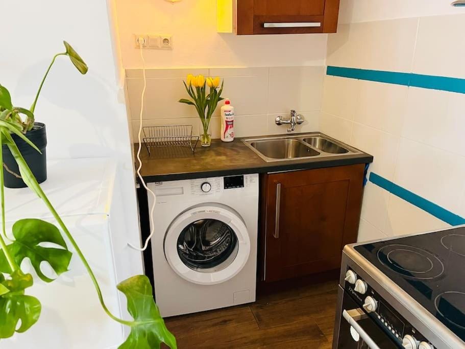 Jungle Apartment - Gdynia Centrum Apartment in Pomeranian Voivodeship