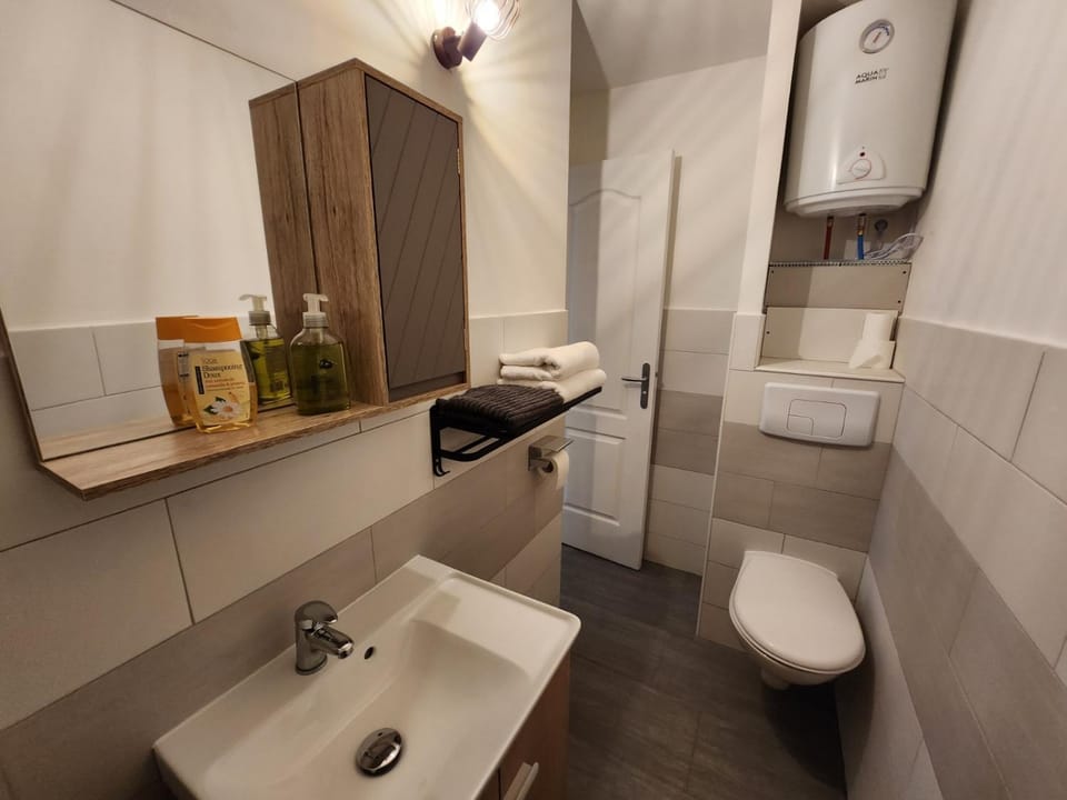Studio calme rdc coté cours Apartment in Grand Est