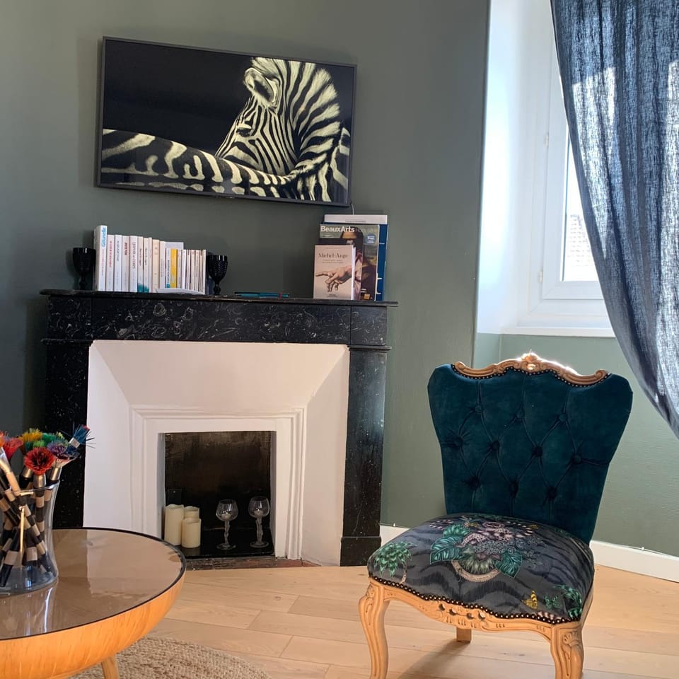 C’est l’app’Art! Pau centre Apartment in Pau