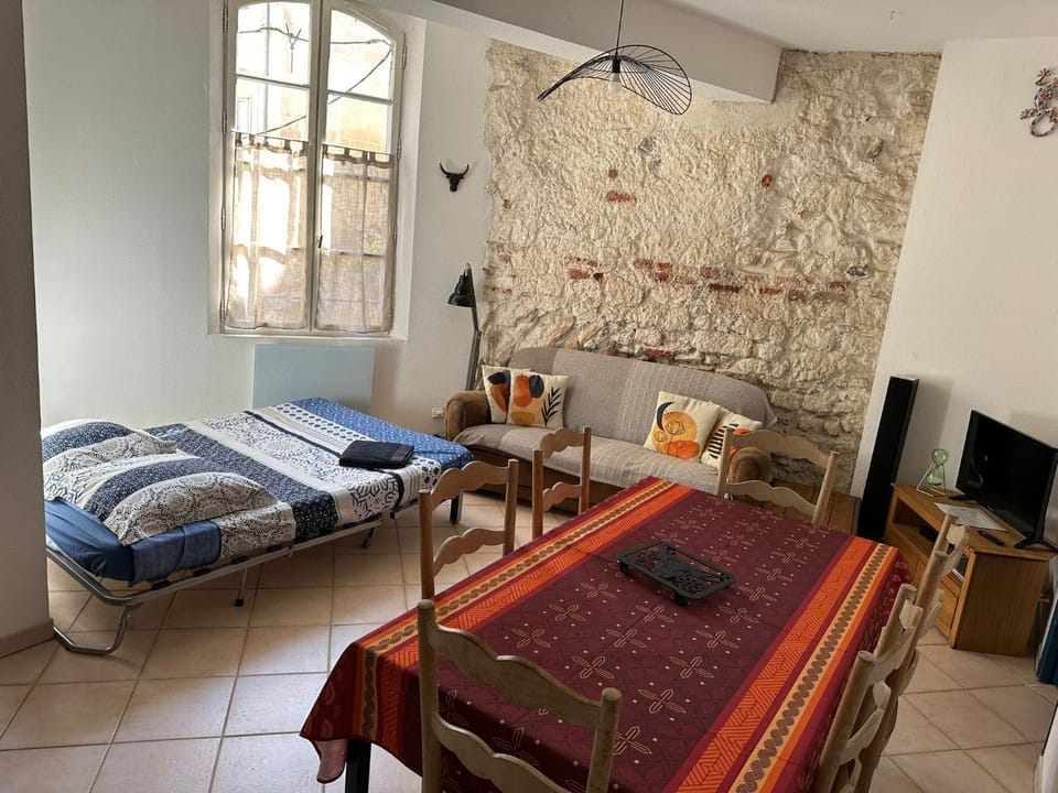 Arles appartement en plein centre historique Apartment in Arles