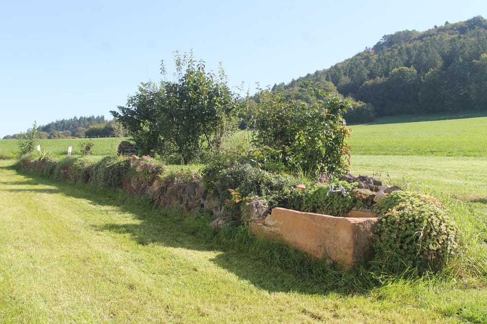 Natural landscape, Garden view