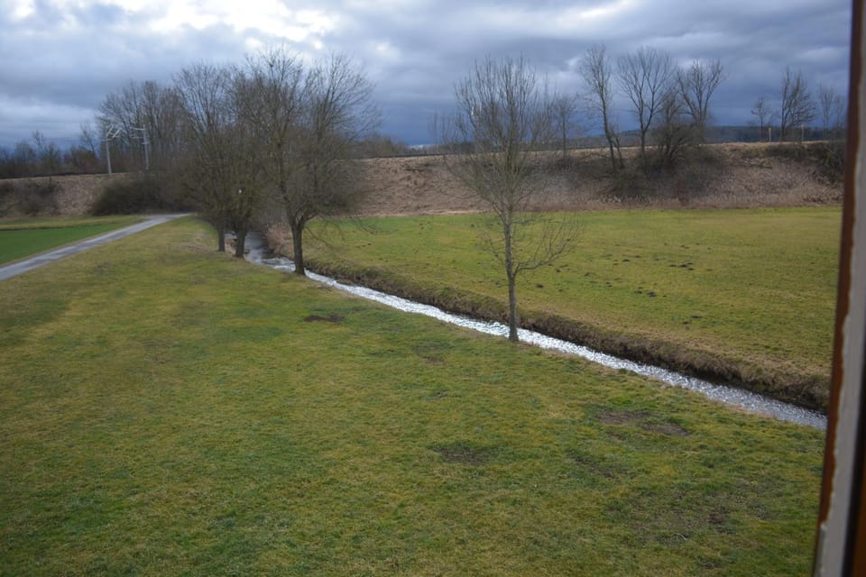 Natural landscape, Garden, Garden view