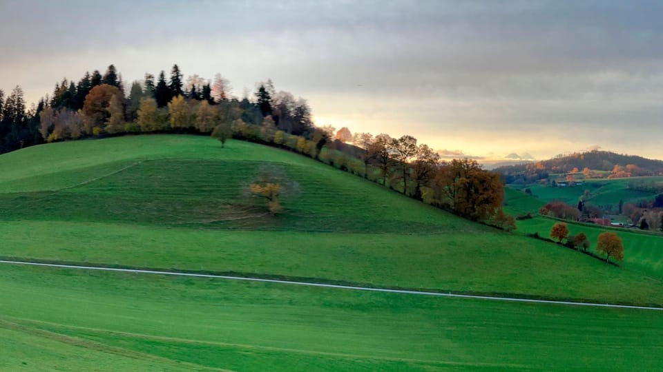 Natural landscape
