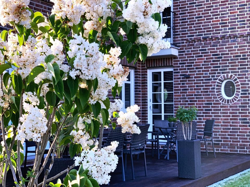 Property building, Spring