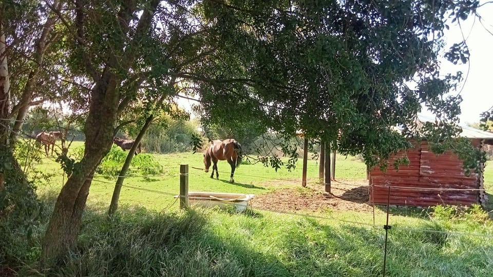 Natural landscape, Entertainment