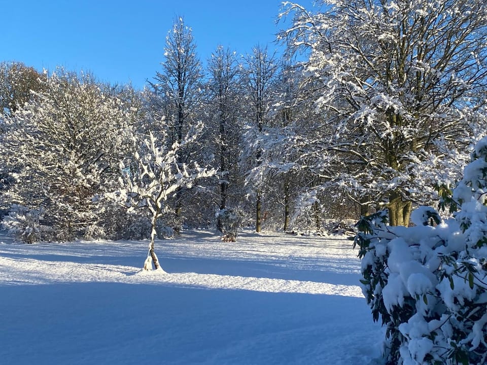 Skønt hus på landet tæt på Billund House in Billund