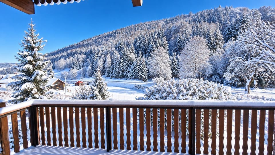 Day, Natural landscape, Winter, View (from property/room), Balcony/Terrace, Mountain view