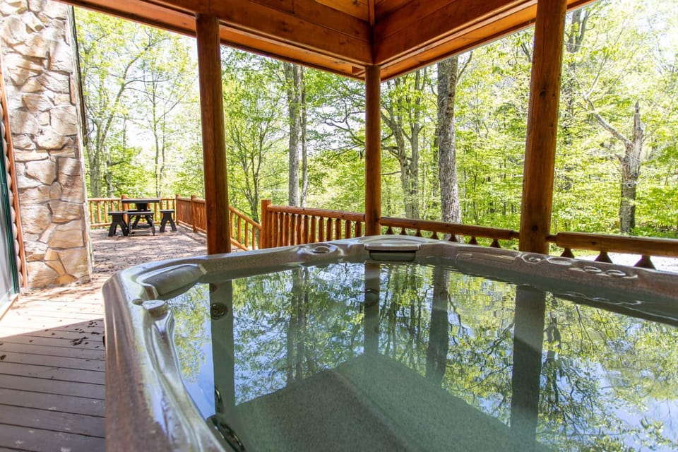 A Beary Good Time House in Brushy Fork
