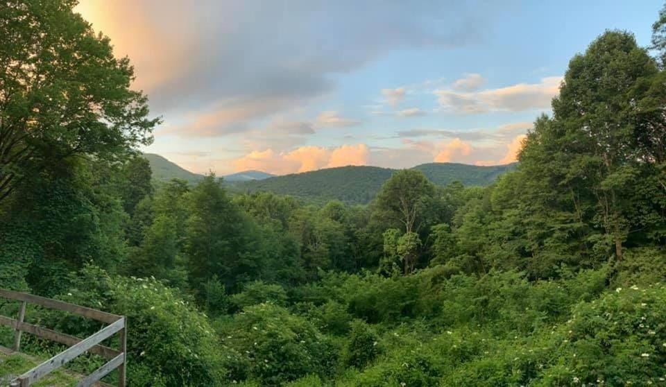 Appalachian View House in Watauga