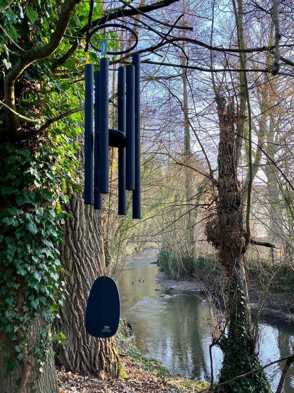 River view